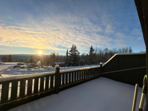 Family-Friendly apartment close to nature